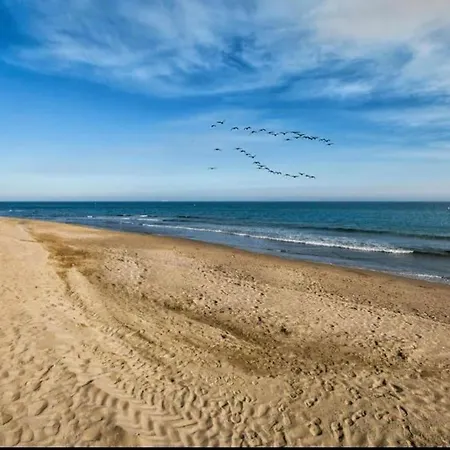 Golden Hour Beachfront Appartamento